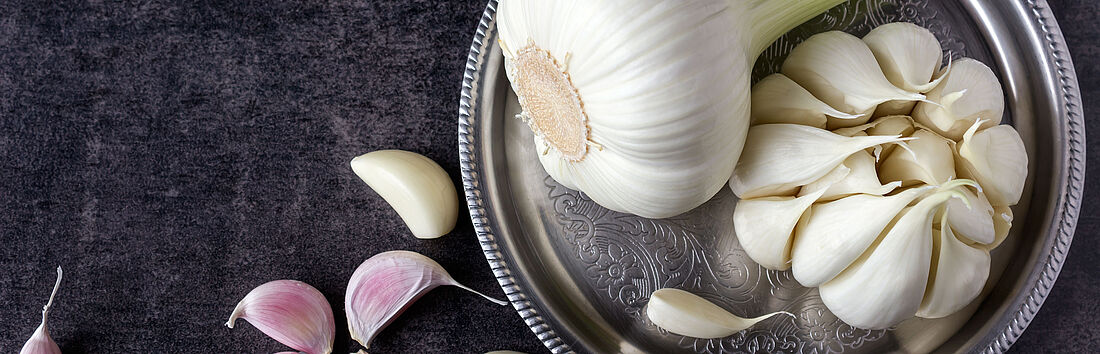Gemüseproduktion Knoblauch